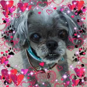 Meet your Posher, Nasreen